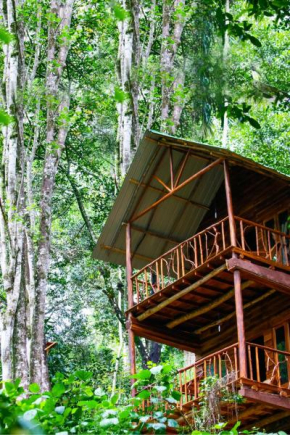 Ella Ecolodge